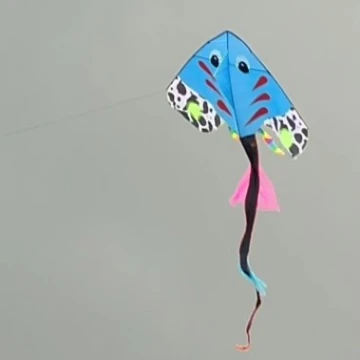 Variado
